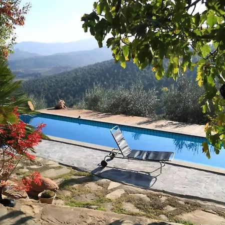 Mit Balkonblick Ins Bergige Gruene Monte Vibiano Vecchio