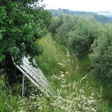 Appartement Mit Balkonblick Ins Bergige Gruene Monte Vibiano Vecchio