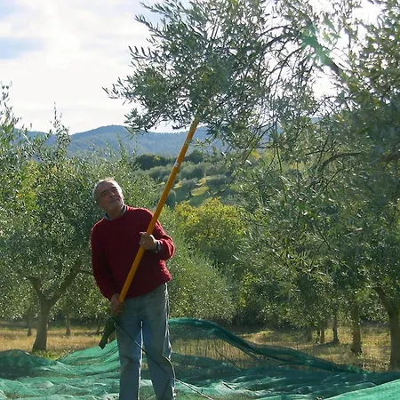Mit Balkonblick Ins Bergige Gruene Lejlighed